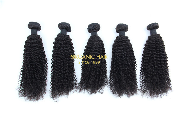 Wholesale afro kinky curly virgin human hair extensions